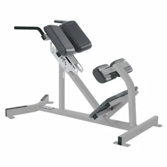 Hammer Strength Back Extension