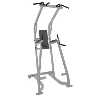 Hammer Strength Chin/Dip/Leg Raise