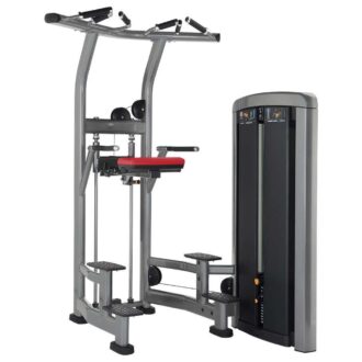 Life Fitness Insignia Series Assisted Dip Chin