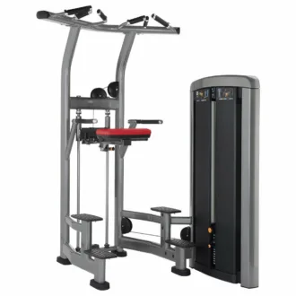 Life Fitness Insignia Series Assisted Dip Chin