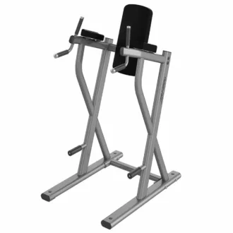 Life Fitness Axiom Series Dip/Leg Raise