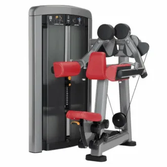 Life Fitness Insignia Series Lateral Raise