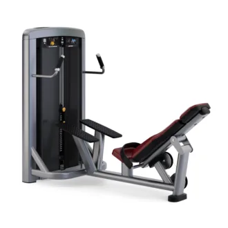 Life Fitness Insignia Series Glute Bridge