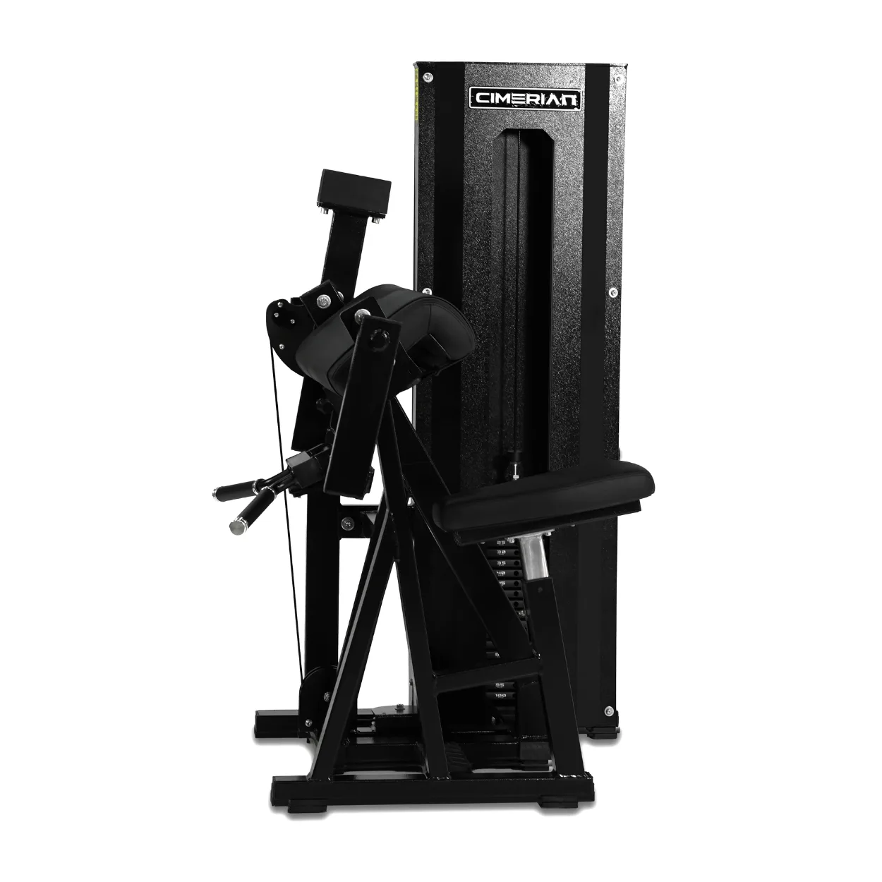 Cimerian Seated Biceps Curl